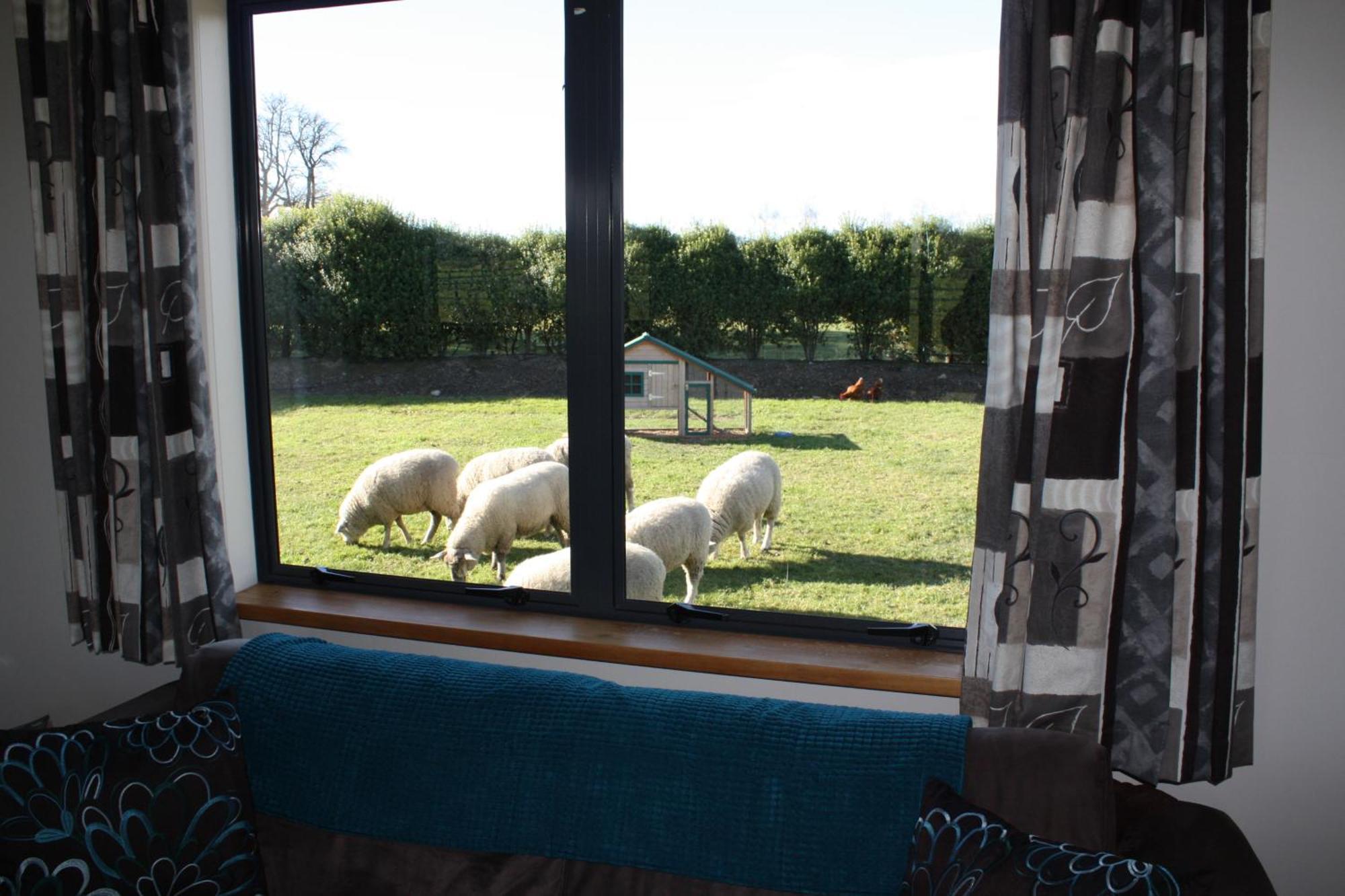 Cottages On St Andrews Havelock North Pokoj fotografie